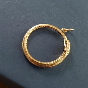 charm serpent ouroboros en argent sterling serpent serpent mystérieux