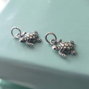 May include: Two silver turtle charms with detailed shell patterns and attached jump rings. The charms are small, with a textured appearance, and are set against a light blue background. Suitable for jewellery making.