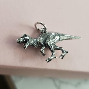 May include: Silver-toned dinosaur charm pendant. The dinosaur is in a running pose with its mouth open. The charm has a loop at the top for attaching to a necklace or bracelet.