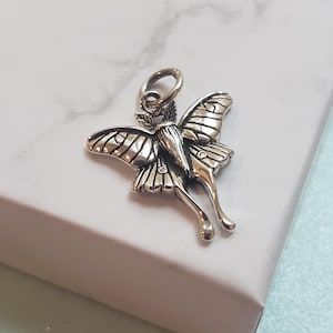 Pequeño dije de polilla luna de plata esterlina, insecto, bicho, poesía en movimiento