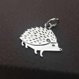 Ciondolo a forma di riccio in argento sterling, gioielli animali con possibilità di incisione, simpatici animaletti