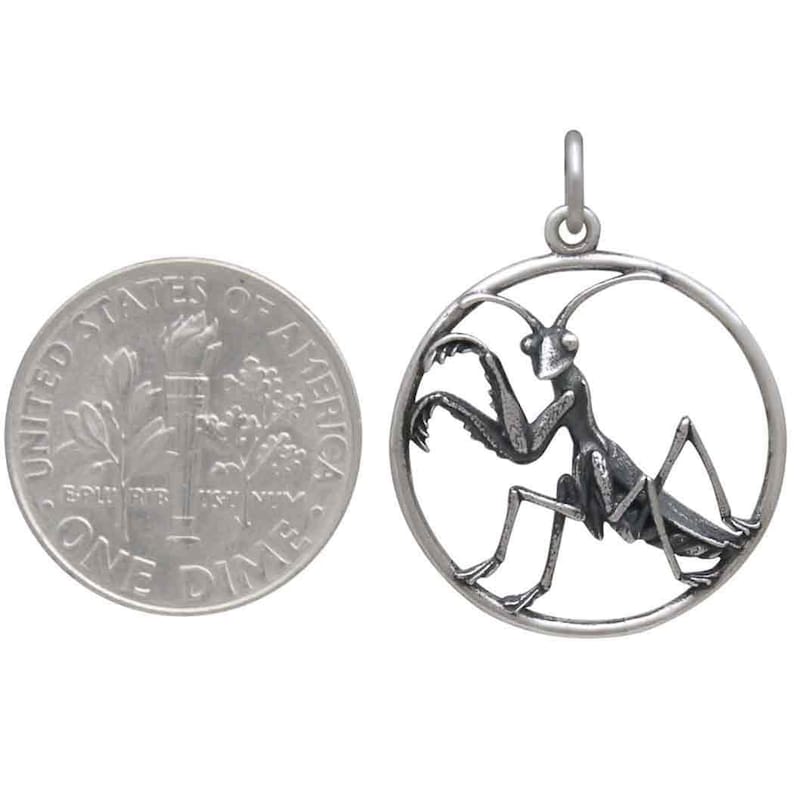 Puede incluir: Un colgante de plata con un dise&ntilde;o detallado de mantis religiosa. El colgante es circular y mide aproximadamente el tama&ntilde;o de una moneda de diez c&eacute;ntimos de euro.