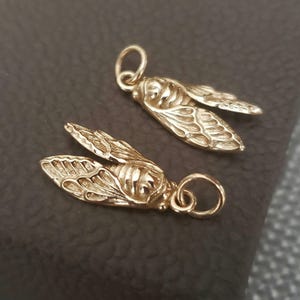 Amuleto de pequeña cigarra de bronce dorado, criatura mágica, colgante de insecto