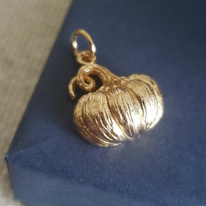 May include: A gold-coloured pumpkin charm with a detailed, textured surface. The charm has a loop at the top for attaching to a necklace or bracelet.