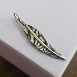 Puede incluir: Colgante de pluma plateada detallada con un pequeño lazo en la parte superior para una cadena. La pluma tiene intrincadas líneas grabadas y una columna vertebral central, creando una apariencia realista y texturizada. El colgante es probablemente para joyería.