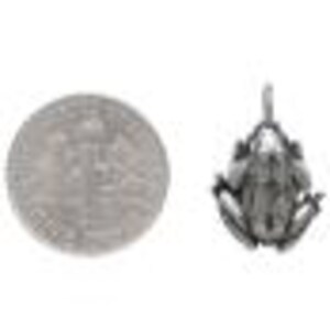 May include: A silver-colored frog charm next to a silver coin. The frog charm is detailed with textured skin and outstretched legs. The coin shows a detailed design. The items are displayed on a white background.