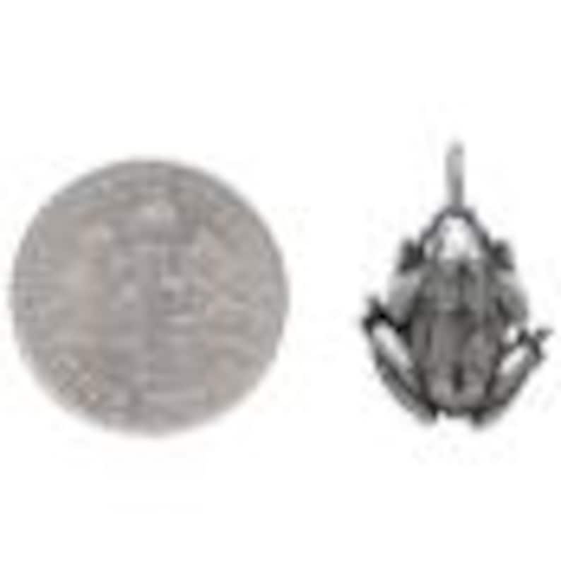 May include: A silver-colored frog charm next to a silver coin. The frog charm is detailed with textured skin and outstretched legs. The coin shows a detailed design. The items are displayed on a white background.