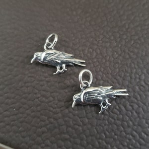 May include: Two detailed silver-colored raven charms. Each charm features a bird with a hooked beak, textured feathers, and a small loop for attaching to a necklace or bracelet. The charms are displayed on a brown surface.