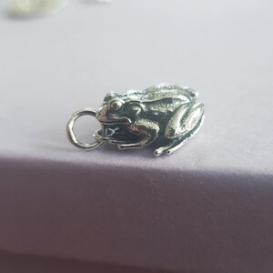 May include: A detailed silver frog charm with a textured surface and a small loop for attachment. The frog is depicted in a resting pose, showcasing its legs and body details. The charm is designed to be a pendant or a decorative element.