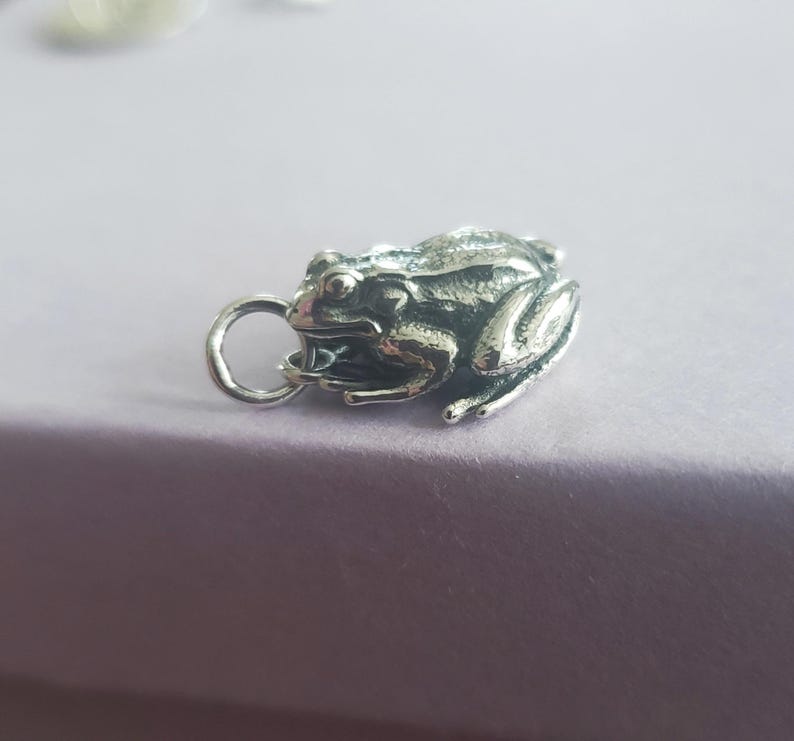May include: A detailed silver frog charm with a textured surface and a small loop for attachment. The frog is depicted in a resting pose, showcasing its legs and body details. The charm is designed to be a pendant or a decorative element.