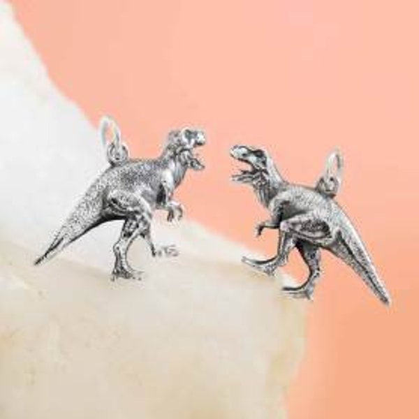 Sterling Silver dinosaur T-rex charm animal history mystery kids jewelry