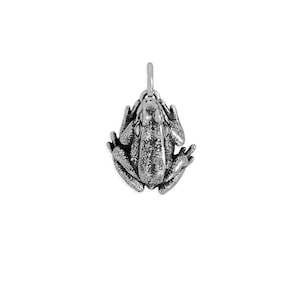 May include: A detailed silver frog pendant with a textured surface. The frog is depicted in a sitting position with its legs spread out. The pendant has a small loop at the top for attaching to a chain or bracelet. The frog's eyes and skin details are visible.