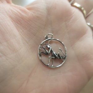 Puede incluir: Un colgante de plata en forma de &oacute;valo con una mantis religiosa en su interior.