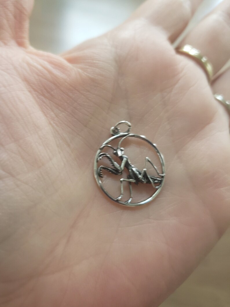Puede incluir: Un colgante de plata en forma de &oacute;valo con una mantis religiosa en su interior.