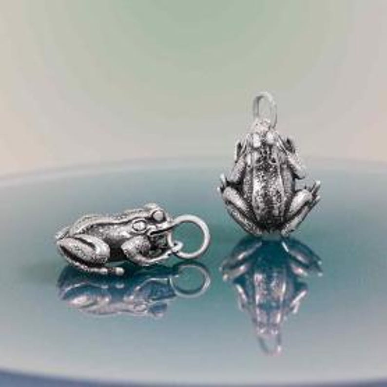 May include: Two silver frog charms. One frog is lying on its side, and the other is upright. Both charms have a detailed, textured surface, with visible eyes and legs. Each charm has a small loop for attaching to a necklace or bracelet.