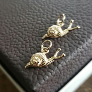dije de caracol de oro, bronce o plata esterlina, el más lindo, dije de animal, dije de insecto, dije de caracol diminuto