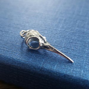 以下が含まれることがあります： 長いクチバシを持つ鳥の頭蓋骨の形をした銀製のペンダント