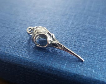 May include: A silver pendant shaped like a bird skull with a long beak.