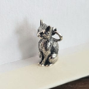 sterling silver 3D cat pendant, animal cat lover, pet owner, kitty cat charm