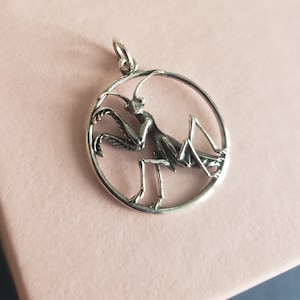 Puede incluir: Un colgante de plata con un dise&ntilde;o de mantis religiosa tridimensional detallado. La mantis est&aacute; colocada dentro de un marco circular, creando una pieza de joyer&iacute;a &uacute;nica y llamativa.