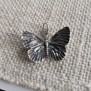 May include: A detailed silver butterfly pendant with textured wings and a small loop for a chain. The butterfly is centered on a neutral-toned fabric background, showcasing the intricate design of the jewelry.