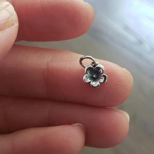 Può includere: Un piccolo ciondolo a forma di fiore argentato con cinque petali e un centro scuro. Il ciondolo ha un piccolo anello nella parte superiore per attaccarlo a un braccialetto o una collana. Il ciondolo è tenuto tra due dita.