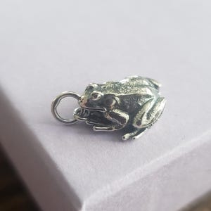 Może przedstawiać: Szczegółowy srebrny charms z żabą o teksturowanej powierzchni. Żaba jest przedstawiona w pozycji siedzącej ze schowanymi nogami. Mała pętla jest przymocowana do użytku jako wisiorek lub zawieszka.