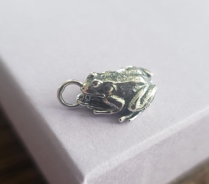 May include: A detailed silver frog charm with a textured surface. The frog is depicted in a sitting position with its legs tucked in. A small loop is attached for use as a pendant or charm. The charm is a detailed representation of a frog.