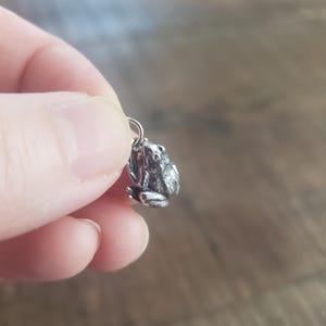 May include: A small, silver-colored frog charm with a detailed, textured surface. The frog is in a sitting position, with its legs tucked in. A small loop is attached to the top for hanging. The charm is held against a blurred wooden background.