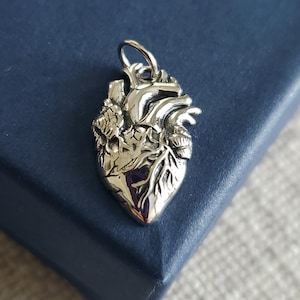 Sterling Silver Anatomical Heart Charm, vital organs, medical, heart surgery patient, doctor gift