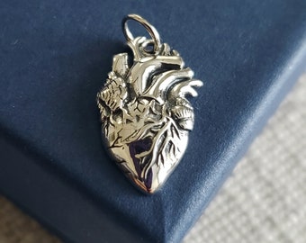 Sterling Silver Anatomical Heart Charm, vital organs, medical, heart surgery patient, doctor gift