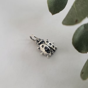May include: Silver charm in the shape of a ladybug with black spots. The charm has a loop at the top for attaching to a bracelet or necklace.