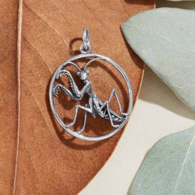 Puede incluir: Un colgante de plata con un dise&ntilde;o detallado de mantis religiosa en un marco circular.