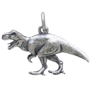 May include: A silver charm in the shape of a Tyrannosaurus Rex dinosaur. The charm is detailed and has a textured finish.