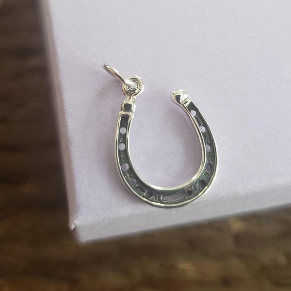 Sterling Silver realistic Lucky Horseshoe festoon Charm pendant Equestrian Fans gift western