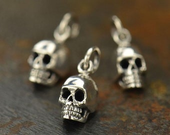 May include: Three silver skull charms with detailed features. The skulls are small and have a smooth, polished finish.