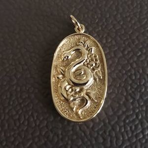 May include: Gold-colored pendant with an oval shape. The pendant features a detailed relief of a snake coiled around flowers and leaves. The pendant has a textured background and a small loop at the top for a chain.