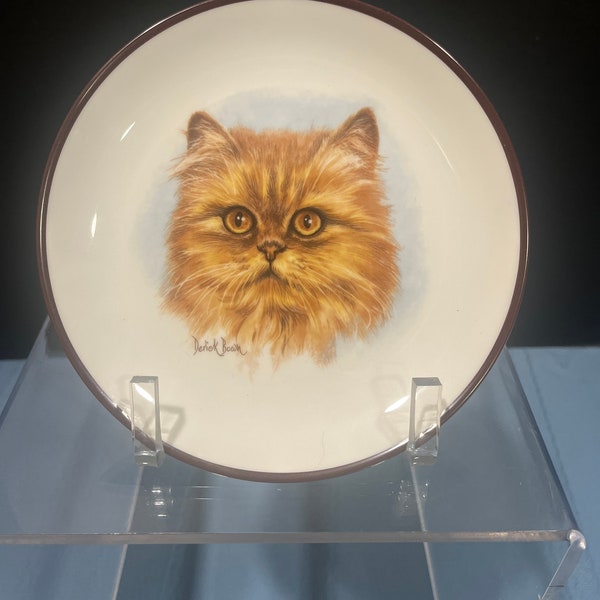 Vintage Derek Brown Coalport Orange Persian Cat Plate - Fine Bone China - England