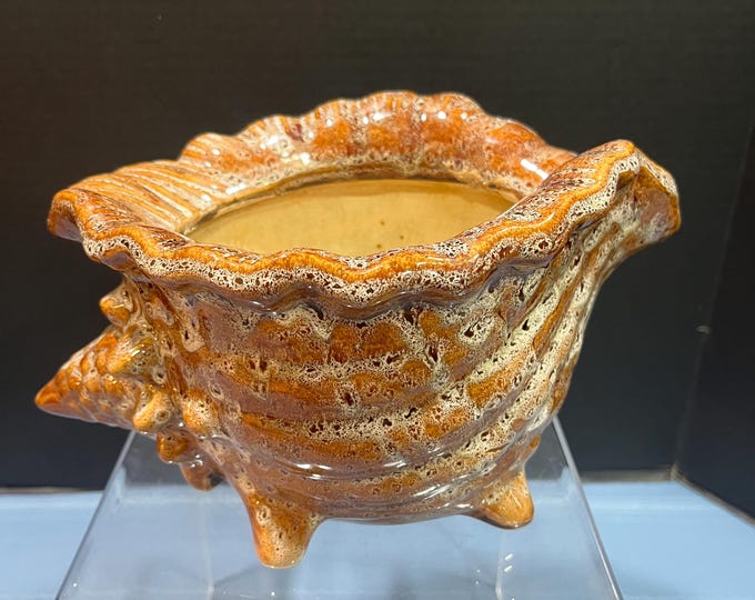 Vintage Large Conch Shell Brown Drip Glaze Planter or Pot - Etsy