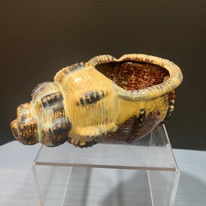 May include: A ceramic seashell planter with a textured surface. The planter is primarily tan and brown with a speckled interior. The shell has a detailed, ridged design and sits on a clear acrylic stand. The planter is suitable for small plants or decorative items.