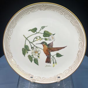 May include: White decorative plate with a gold rim and hummingbird illustration. The plate features a detailed painting of a hummingbird with outstretched wings, hovering near white flowers and green leaves. The plate has a gold decorative border.