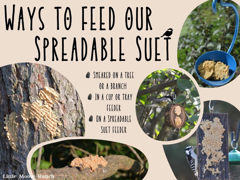 Spreadable Suet for Bird Feeding Homemade Fresh to Order, Easy and Fun