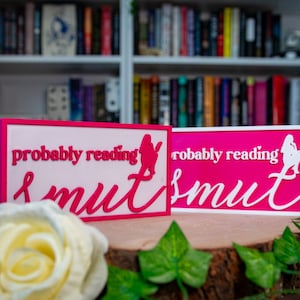 Probably Reading Smut Library Sign | Gifts for Romance Readers