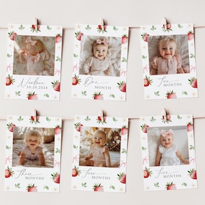 May include: A set of six photo cards with a strawberry and floral design. Each card features a baby's photo and the age in months. The cards are labeled "Newborn", "One Month", "Two Months", "Three Months", "Four Months", and "Five Months".