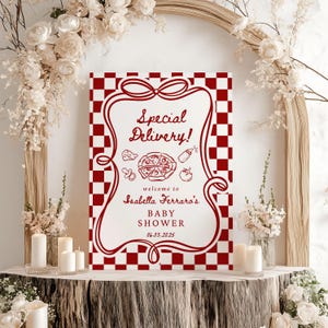 K&ouml;nnte beinhalten: Ein rot-wei&szlig; kariertes Babyparty-Schild mit den Worten "Special Delivery!" und "Baby Shower" in einer dekorativen Schriftart. Das Schild enth&auml;lt Illustrationen von Pizza, einer Babyflasche und anderen Babyartikeln. Das Schild befindet sich auf einer Holzoberfl&auml;che.