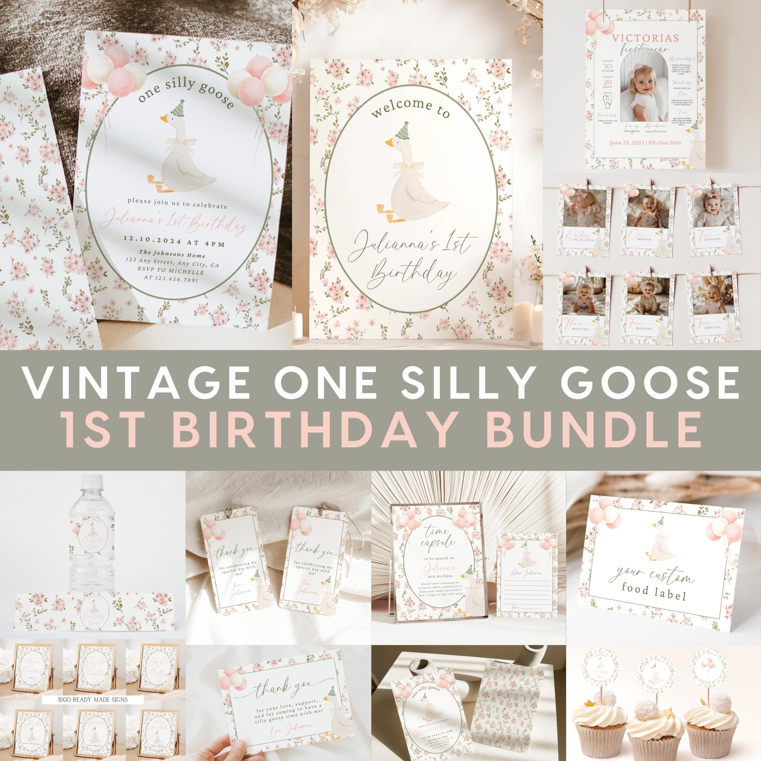 One Silly Goose First Birthday Bundle, Vintage Floral Goose Invite First Birthday Bundle, Pink Greenery Girls 1st birthday Boho