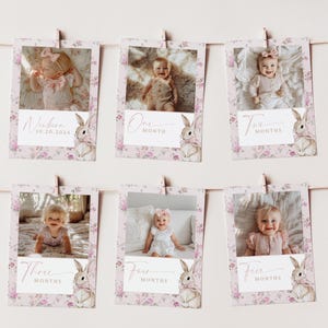 May include: A set of six pink floral photo cards with a bunny rabbit illustration and text that reads "newborn", "one month", "two months", "three months", "four months", and "five months".