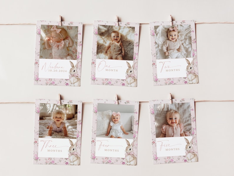 May include: A set of six pink floral photo cards with a bunny rabbit illustration and text that reads "newborn", "one month", "two months", "three months", "four months", and "five months".