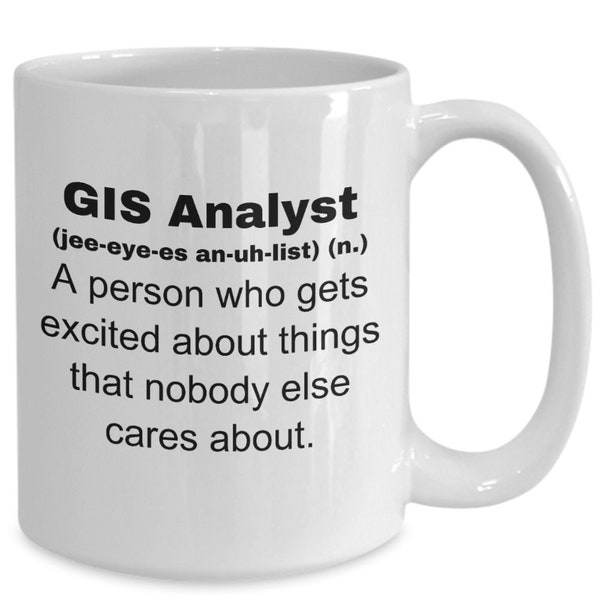 GIS Analyst Mug Funny Definition Novelty Gift Ideas for Men for Women Birthday College Graduation Retirement Co Worker