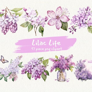 Może przedstawiać: Aquarelowe ilustracje kwiatów lila w różnych aranżacjach, w tym bukiet w szklanym wazonie, pojedynczy kwiat z kroplami deszczu i grupa lilaków z motylem. Tekst "Lilac Life 17 piece png clipart" jest napisany na różowym tle na białym tle.